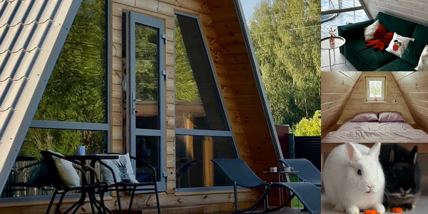 Треугольный дом «Bunny House»