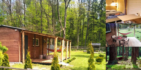 Домики в Беловежской пуще «Forest House»