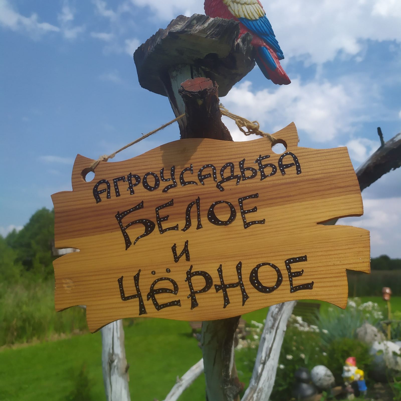 Агроусадьба «Белое и Чёрное»