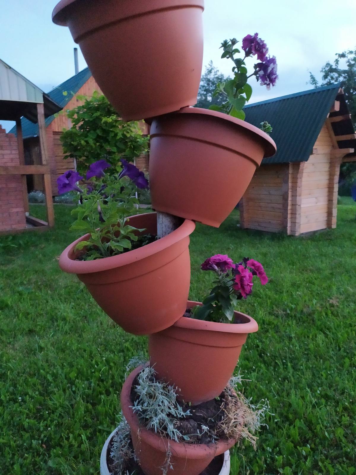 Агроусадьба «Белое и Чёрное»