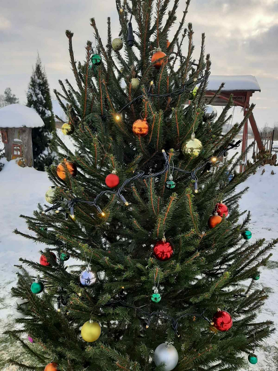 Усадьба «Беловежская Благодать»