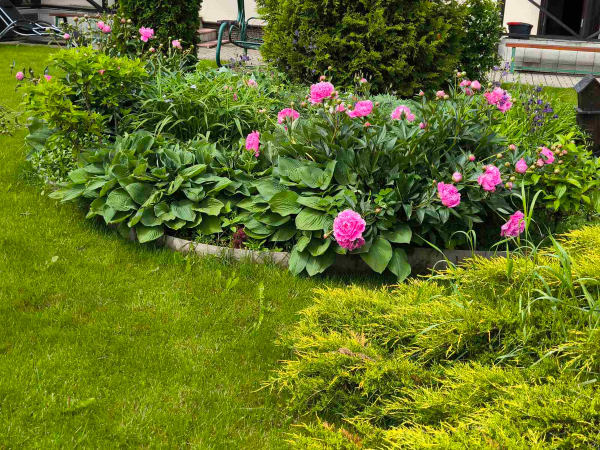 Агроусадьба «Черница»