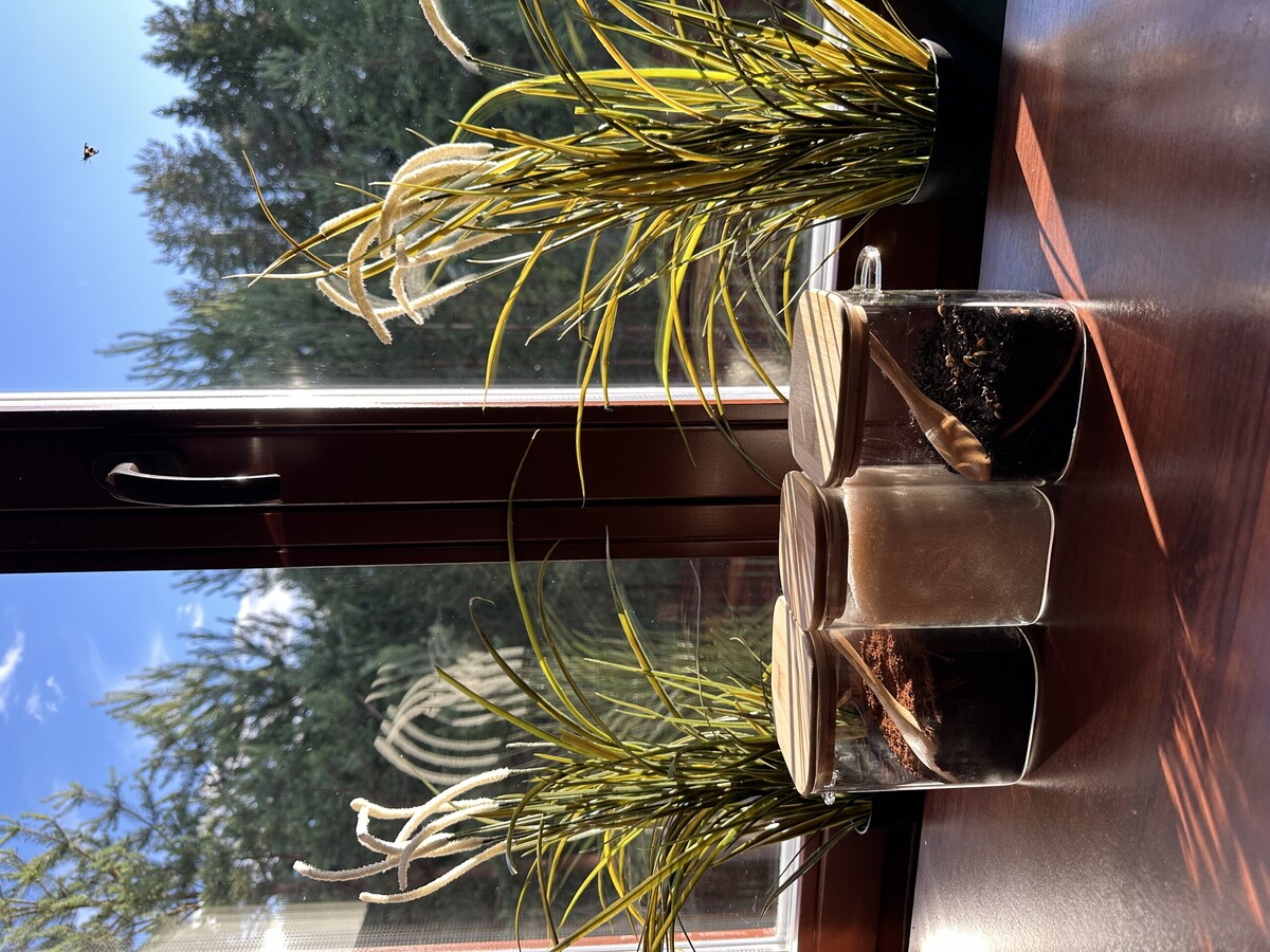 Усадьба «Гурница Хауз»