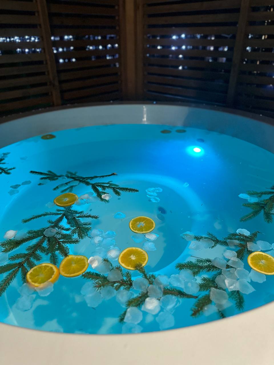 Загородный комплекс «Lisenok»