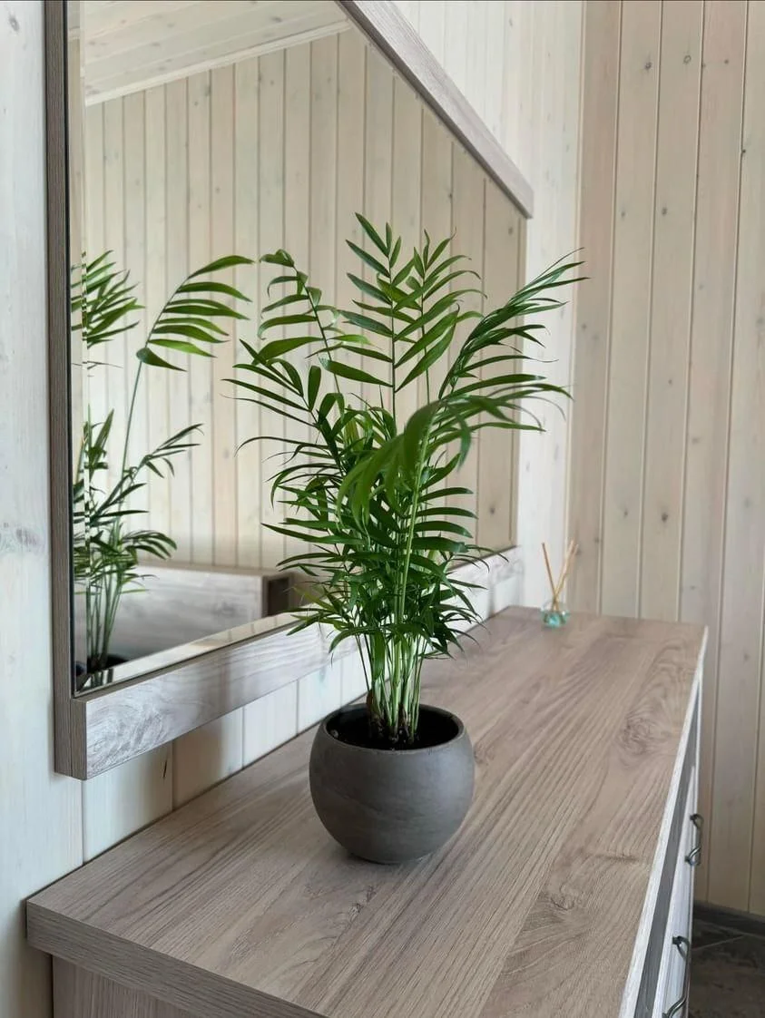 Загородный комплекс «Lisenok»