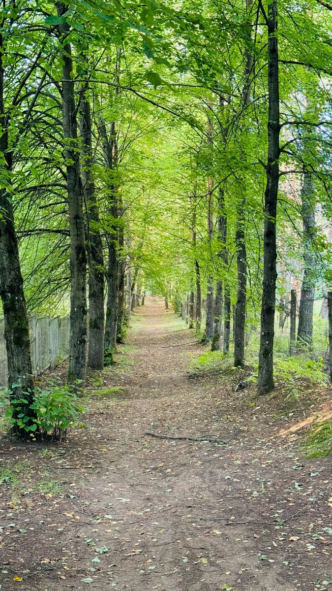 Агроусадьба «Мечта»