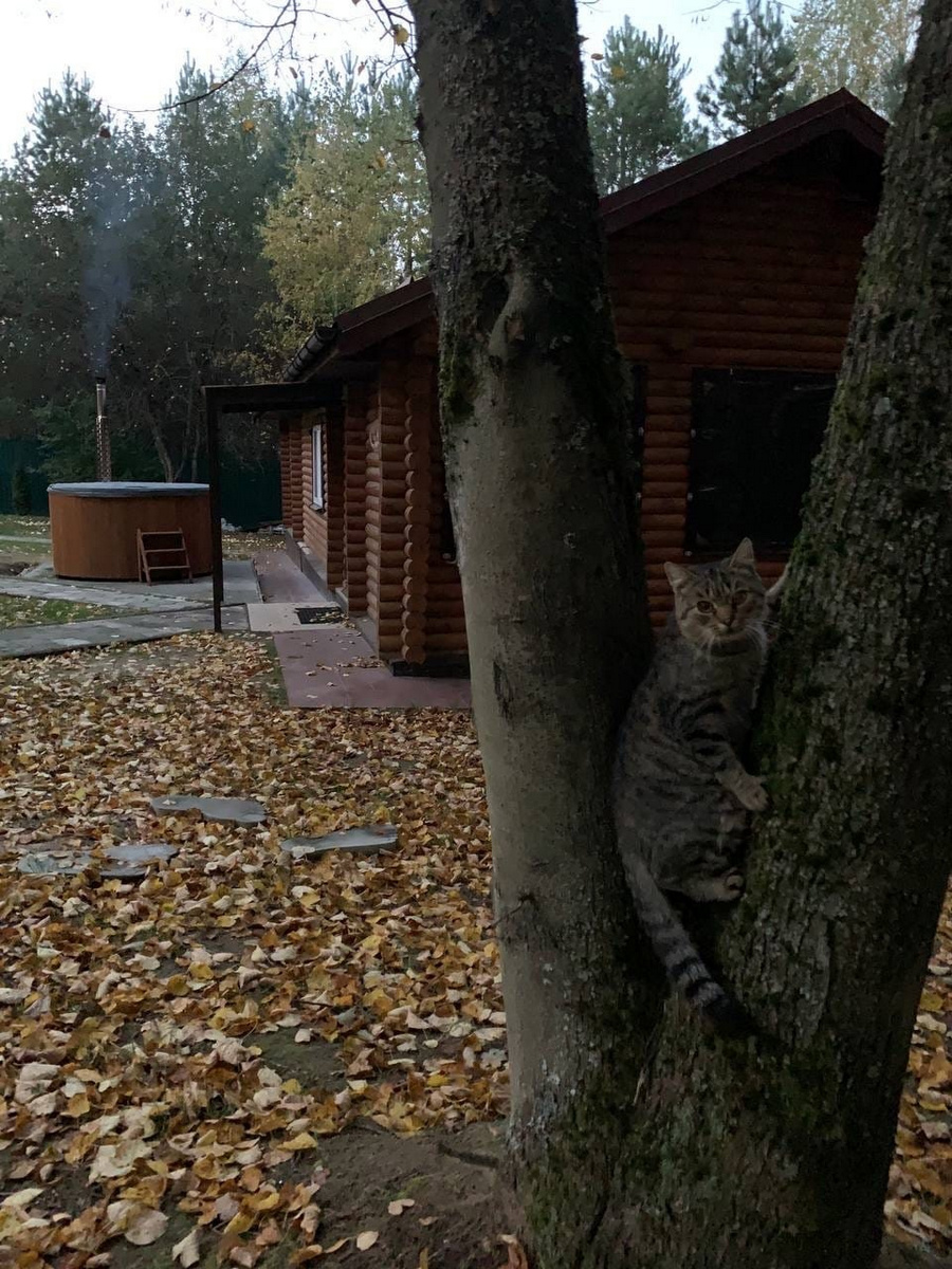 Агроусадьба «Мечта»