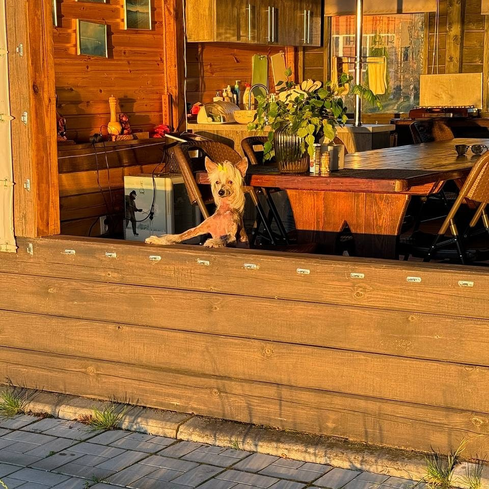 Усадьба «Мидас»