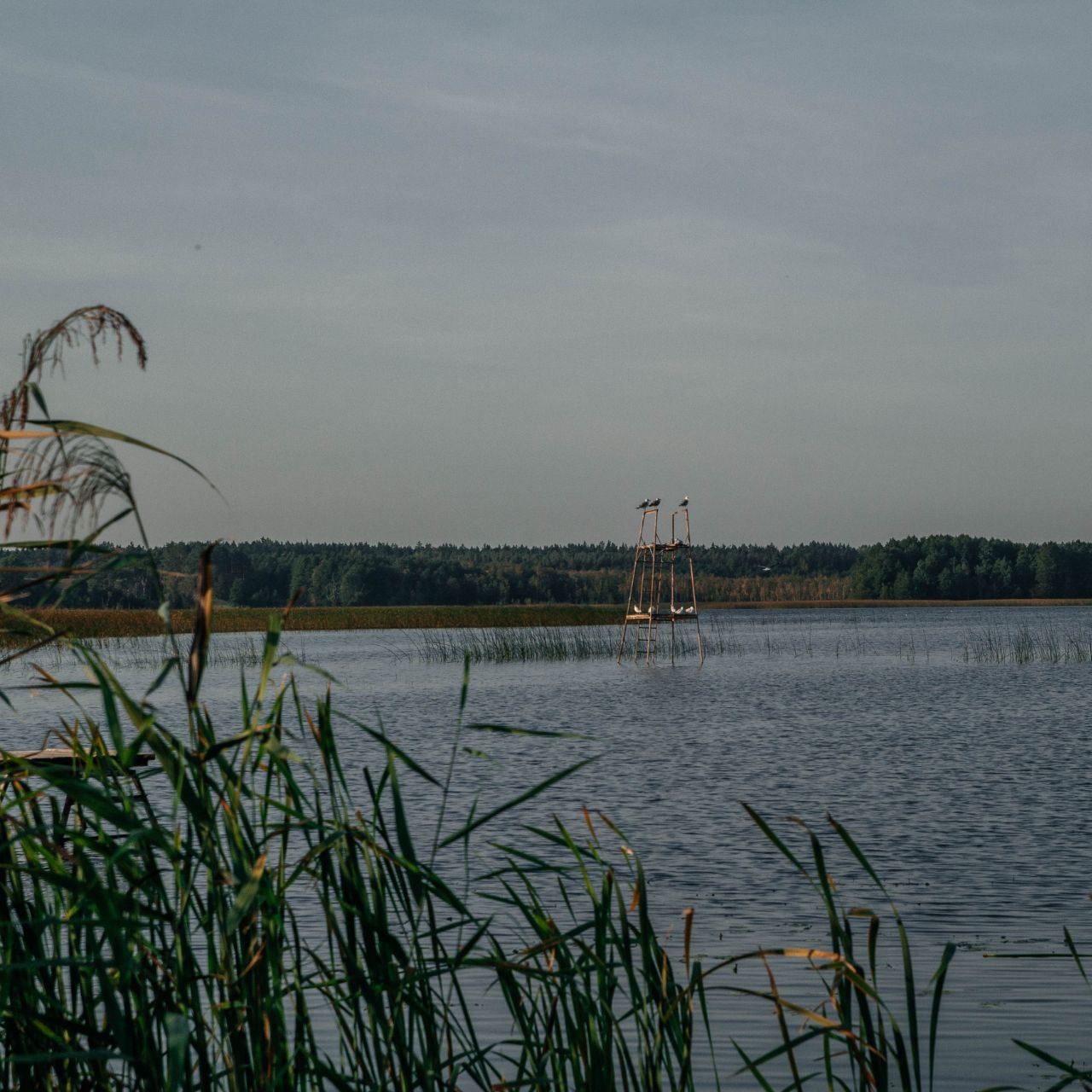 Дом на озерах «Мурашки»