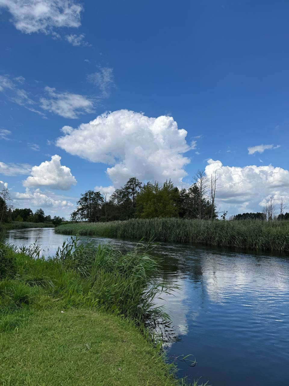 Агроэкоусадьба «Шалаш»