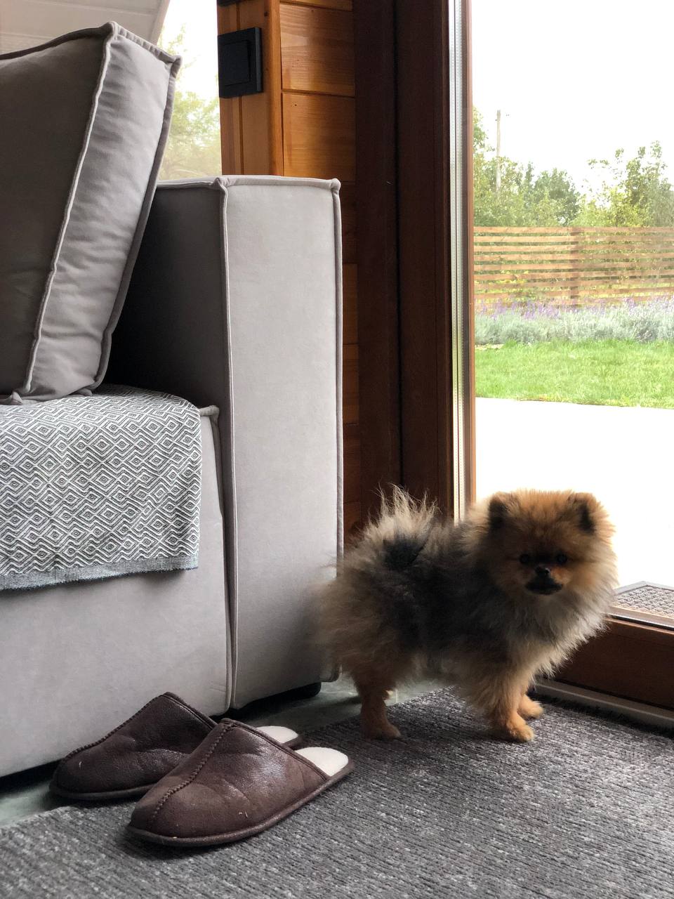 Агроэкоусадьба «Шалаш»