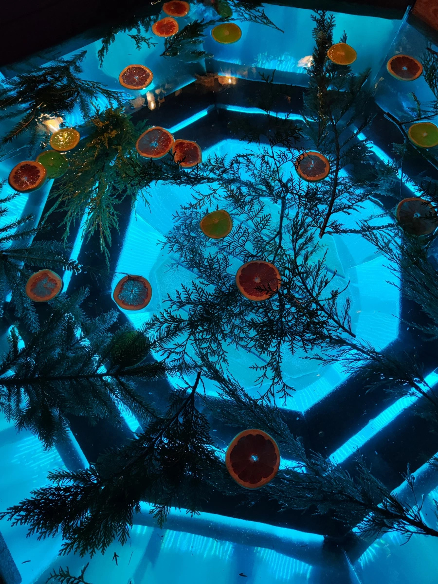 Агроусадьба «Swallow's Nest»