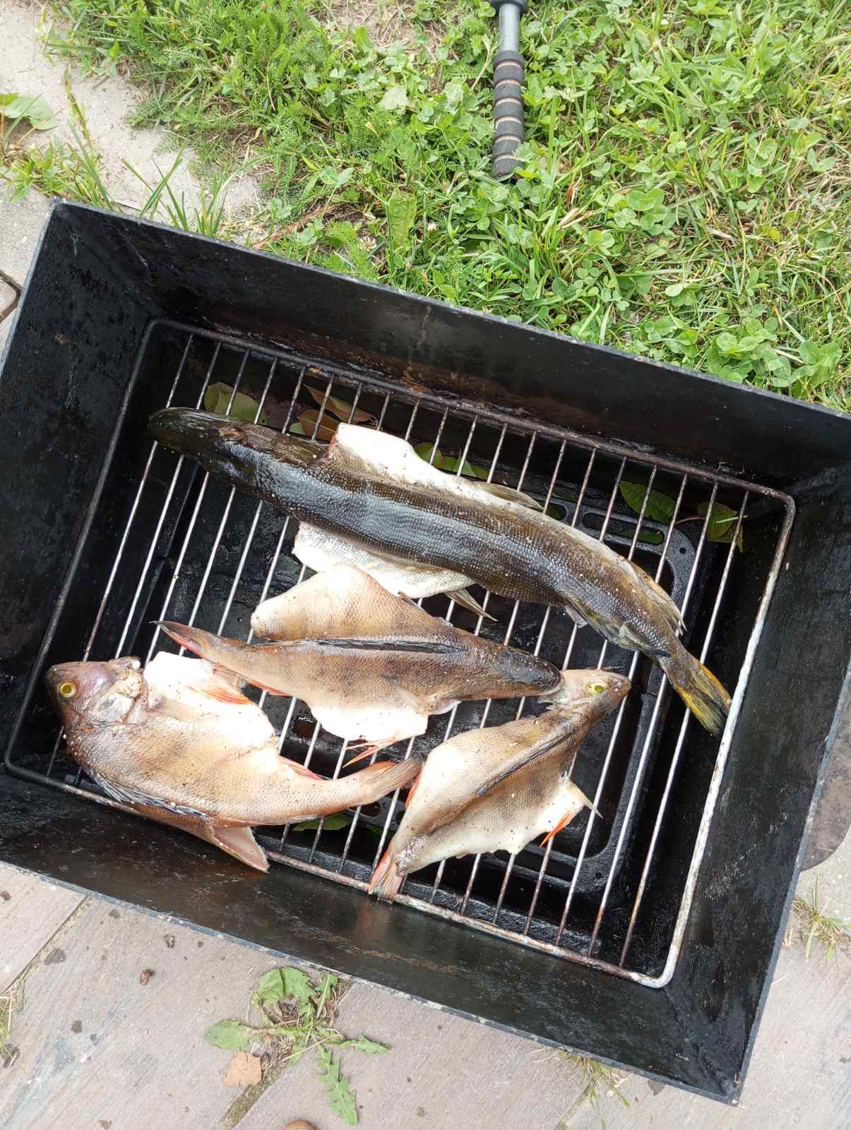 Агроусадьба «Вилейское море»