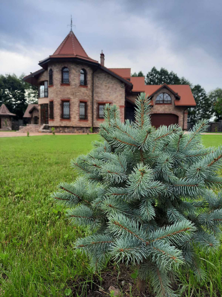 Усадьба «Яновский замок»